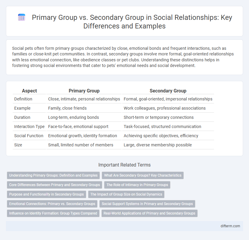 Primary Group vs. Secondary Group in Social Relationships: Key Differences and Examples