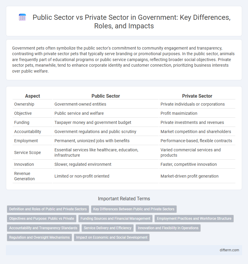 Public Sector vs Private Sector in Government: Key Differences, Roles, and Impacts