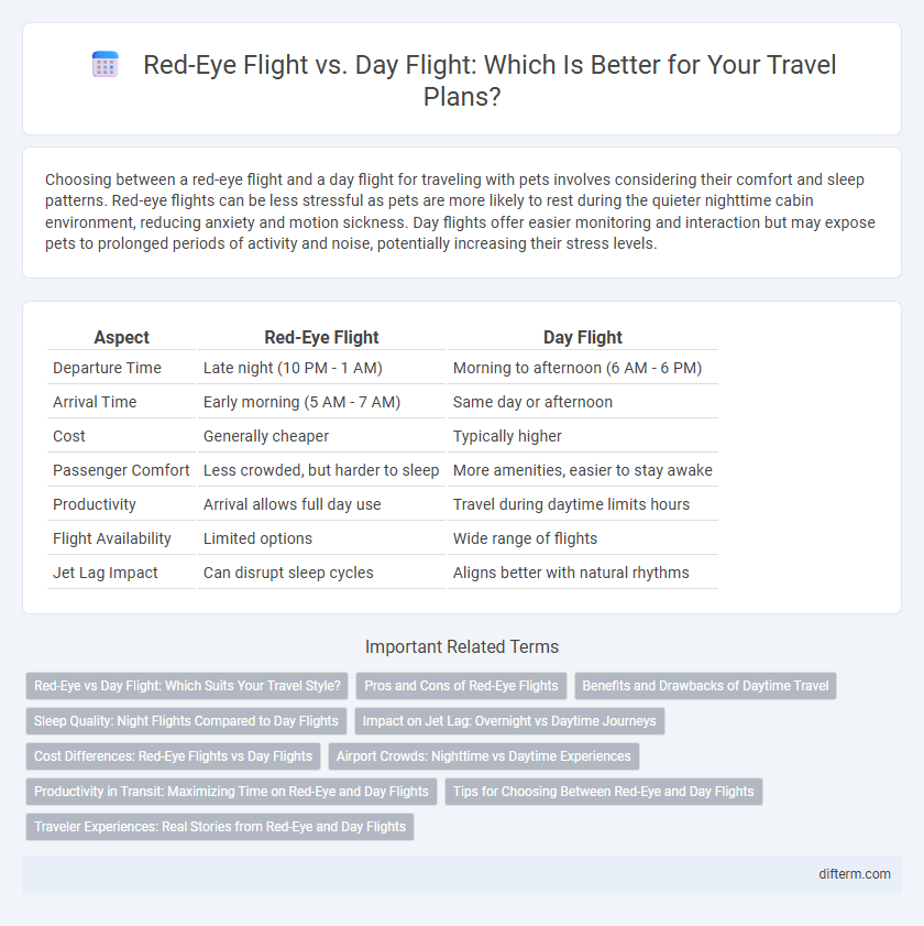 Red-Eye Flight vs. Day Flight: Which Is Better for Your Travel Plans?