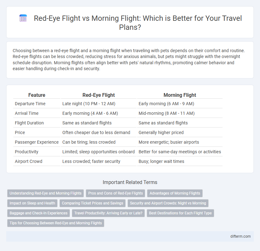 Red-Eye Flight vs Morning Flight: Which is Better for Your Travel Plans?