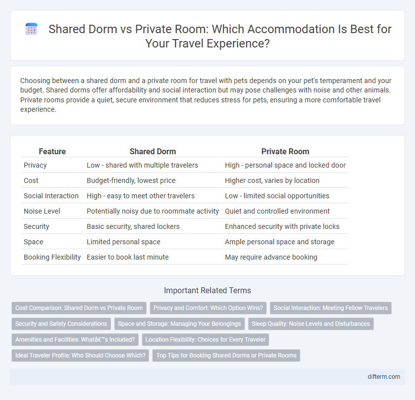Shared Dorm vs Private Room: Which Accommodation Is Best for Your Travel Experience?