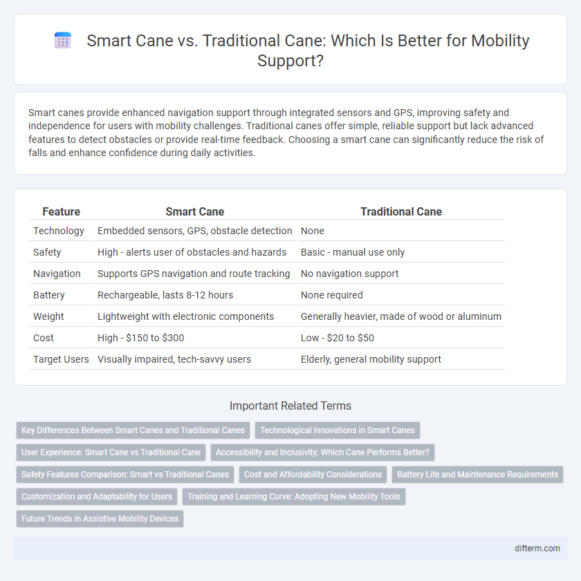 Smart Cane vs. Traditional Cane: Which Is Better for Mobility Support?