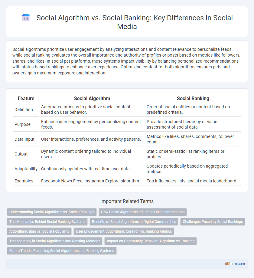 Social Algorithm vs. Social Ranking: Key Differences in Social Media