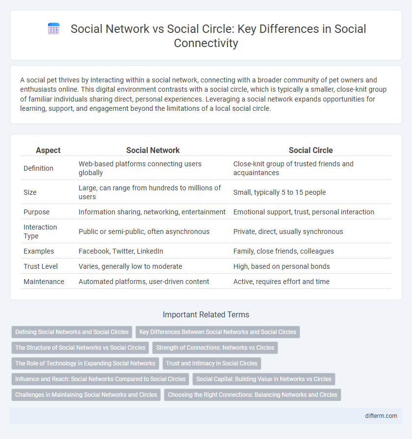 Social Network vs Social Circle: Key Differences in Social Connectivity