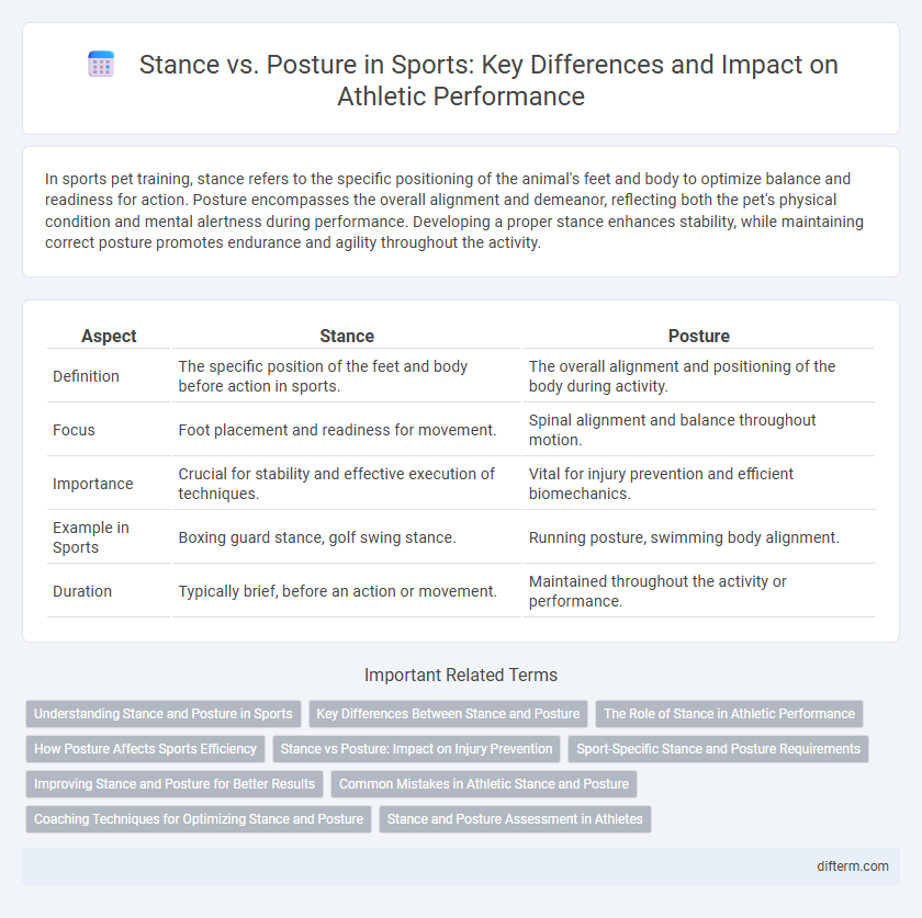 Stance vs. Posture in Sports: Key Differences and Impact on Athletic Performance