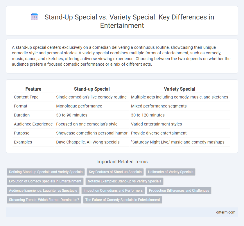 Stand-Up Special vs. Variety Special: Key Differences in Entertainment
