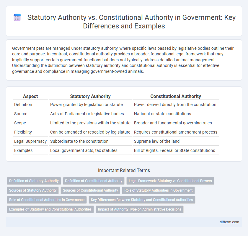 Statutory Authority vs. Constitutional Authority in Government: Key Differences and Examples