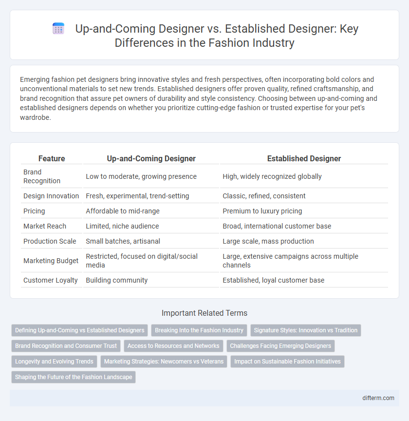 Up-and-Coming Designer vs. Established Designer: Key Differences in the Fashion Industry