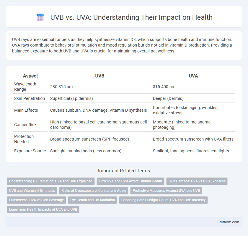 UVB vs. UVA: Understanding Their Impact on Health