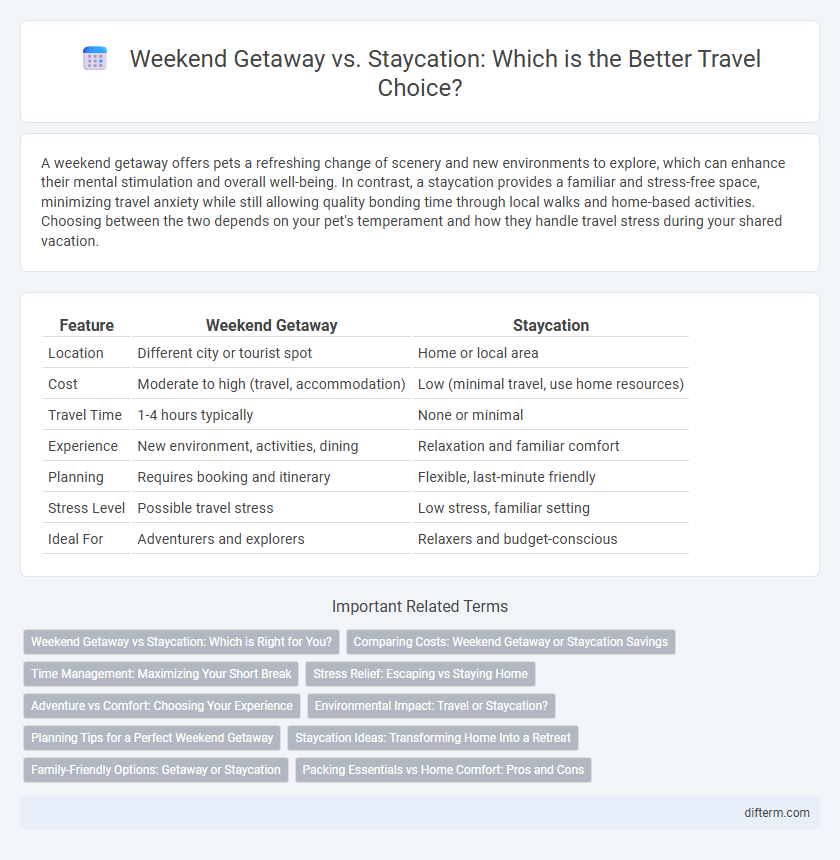 Weekend Getaway vs. Staycation: Which is the Better Travel Choice?