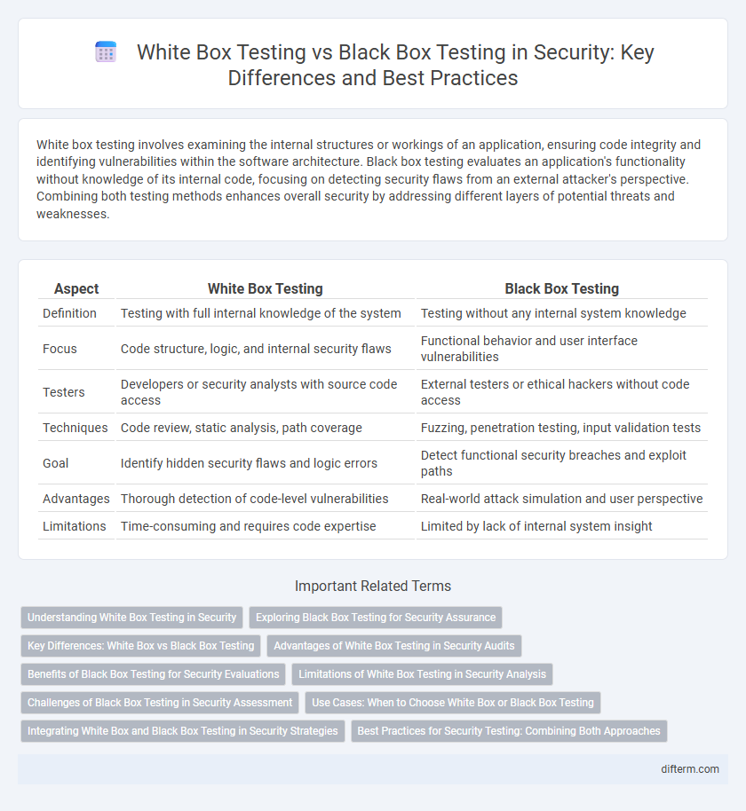 White Box Testing vs Black Box Testing in Security: Key Differences and Best Practices
