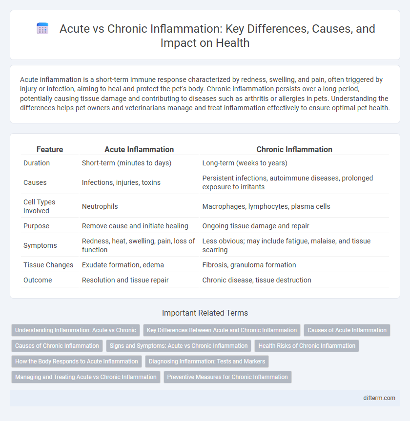 Acute vs Chronic Inflammation: Key Differences, Causes, and Impact on Health