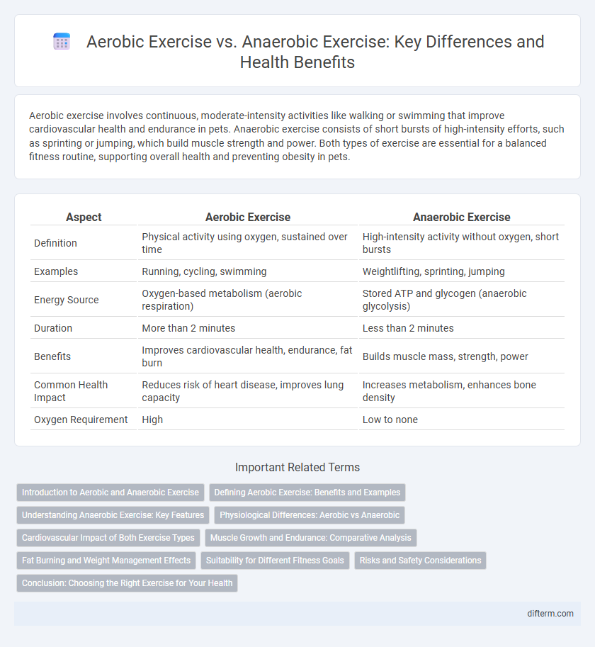 Aerobic Exercise vs. Anaerobic Exercise: Key Differences and Health Benefits