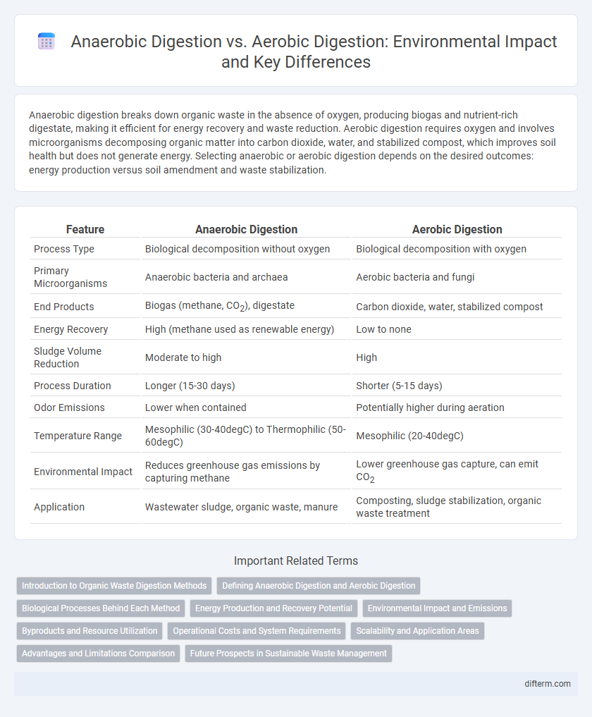 Anaerobic Digestion vs. Aerobic Digestion: Environmental Impact and Key Differences