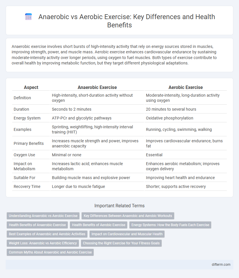 Anaerobic vs Aerobic Exercise: Key Differences and Health Benefits