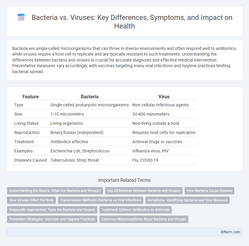 Bacteria vs. Viruses: Key Differences, Symptoms, and Impact on Health