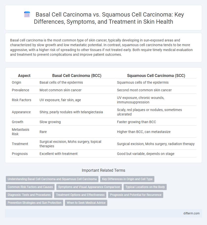 Basal Cell Carcinoma vs. Squamous Cell Carcinoma: Key Differences, Symptoms, and Treatment in Skin Health