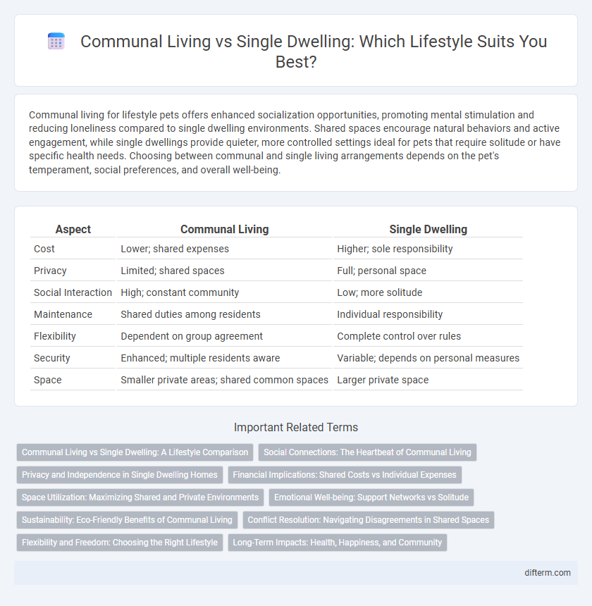 Communal Living vs Single Dwelling: Which Lifestyle Suits You Best?