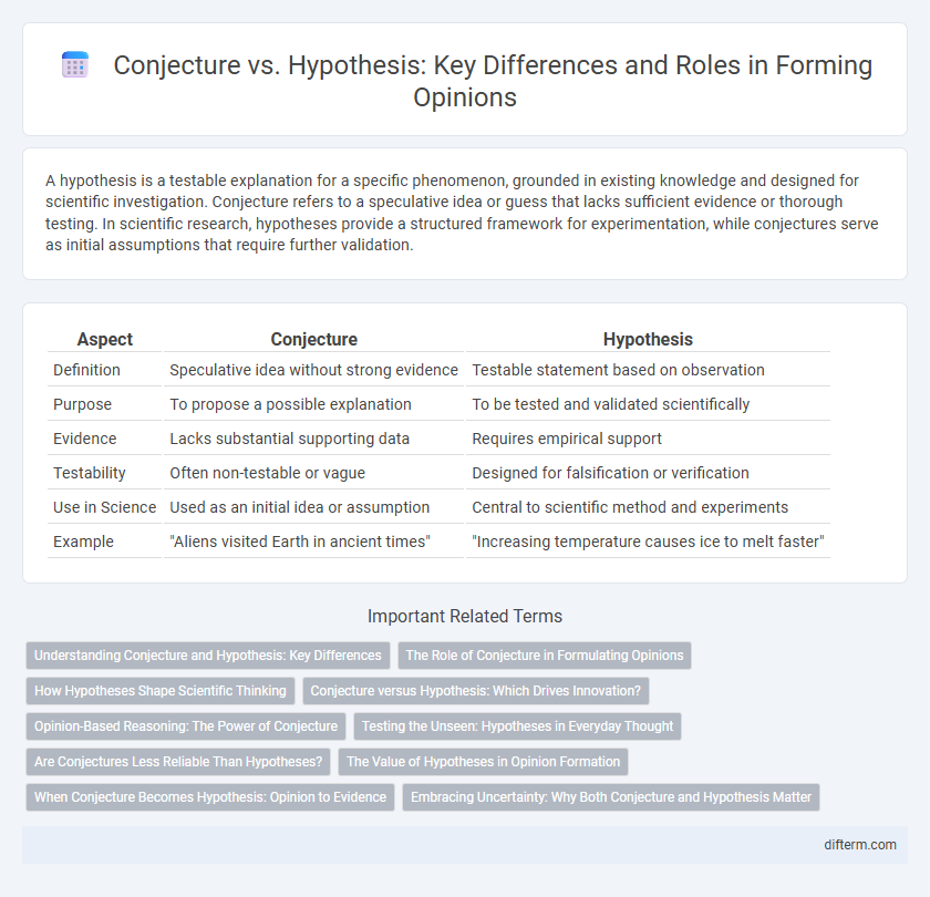 Conjecture vs. Hypothesis: Key Differences and Roles in Forming Opinions