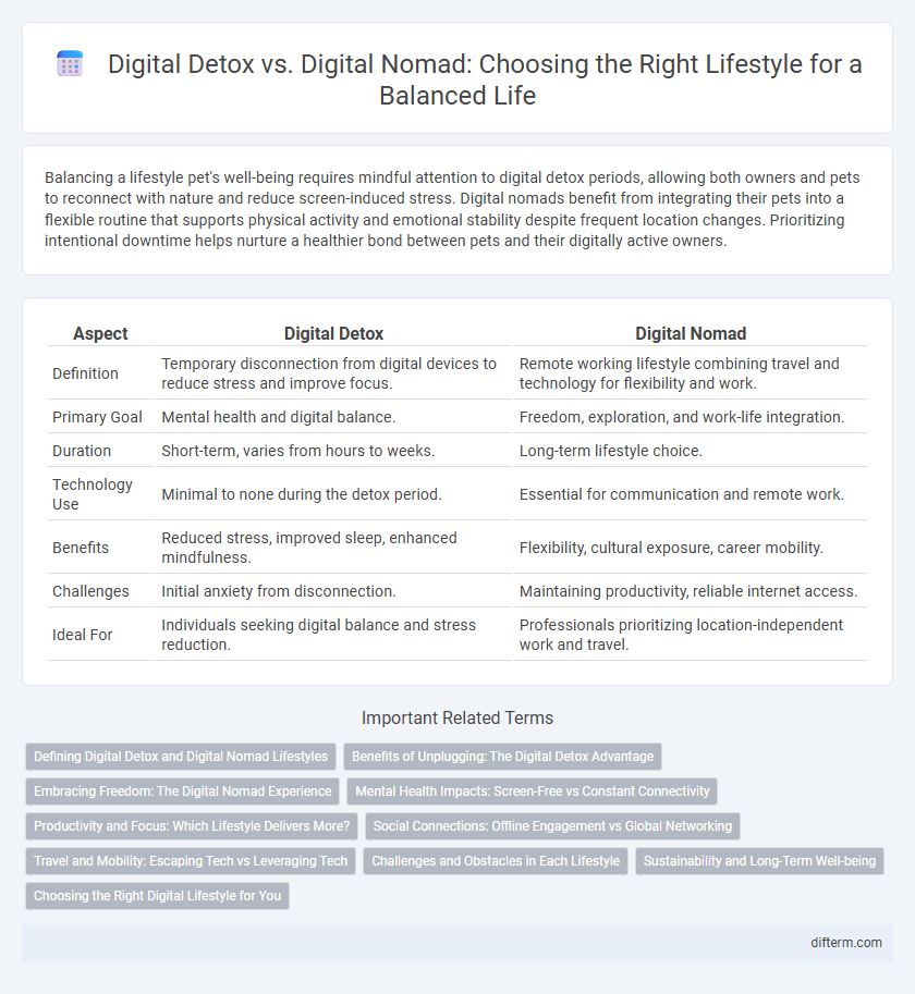 Digital Detox vs. Digital Nomad: Choosing the Right Lifestyle for a Balanced Life