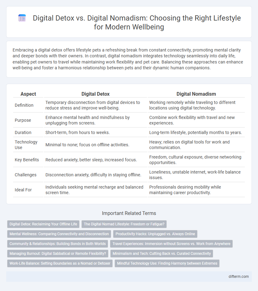 Digital Detox vs. Digital Nomadism: Choosing the Right Lifestyle for Modern Wellbeing