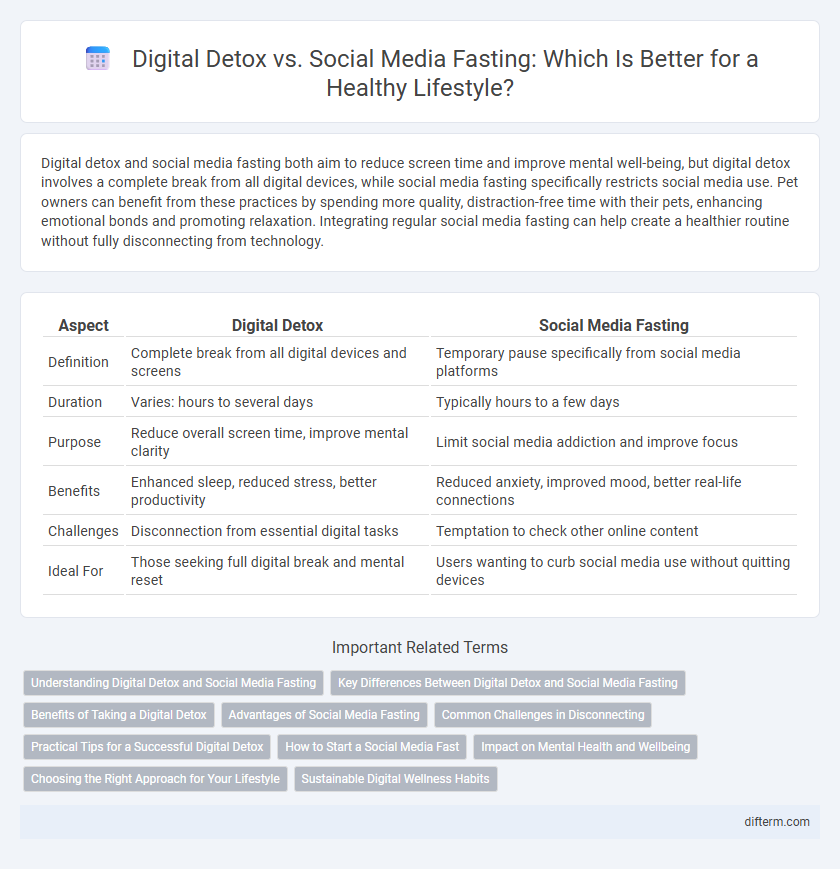 Digital Detox vs. Social Media Fasting: Which Is Better for a Healthy Lifestyle?