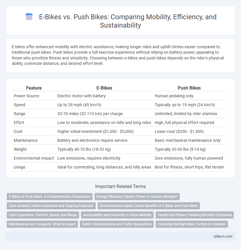 E-Bikes vs. Push Bikes: Comparing Mobility, Efficiency, and Sustainability