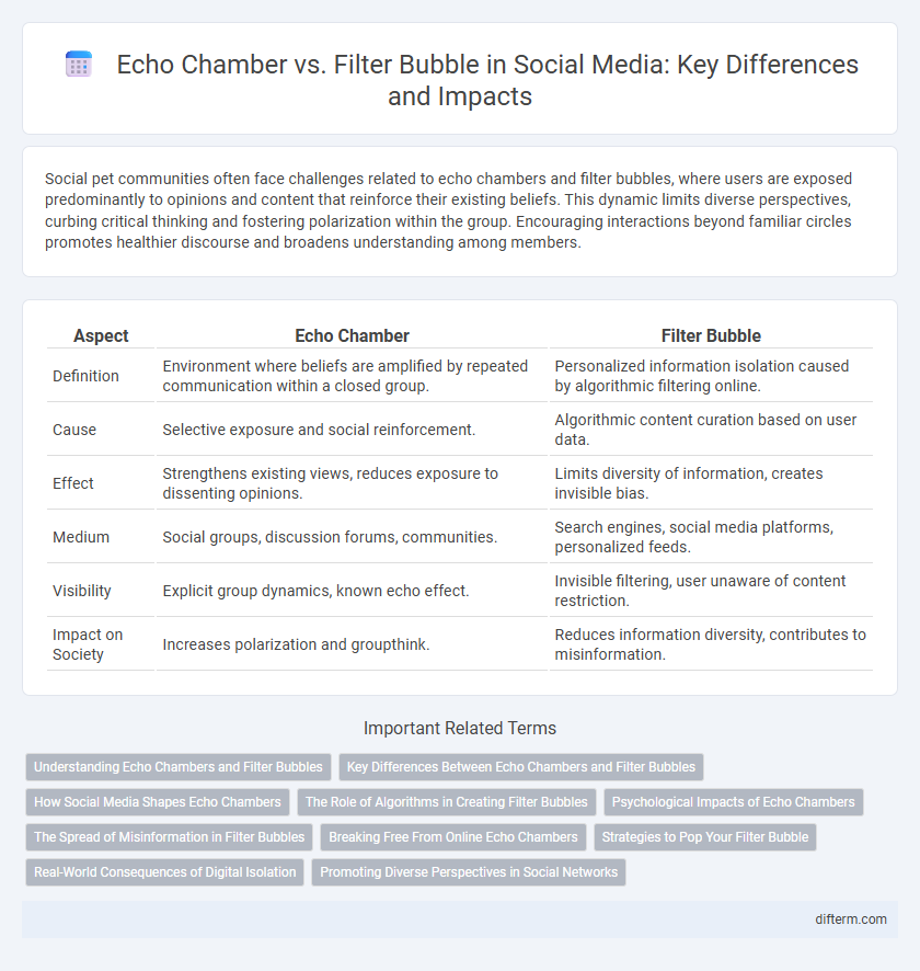 Echo Chamber vs. Filter Bubble in Social Media: Key Differences and Impacts