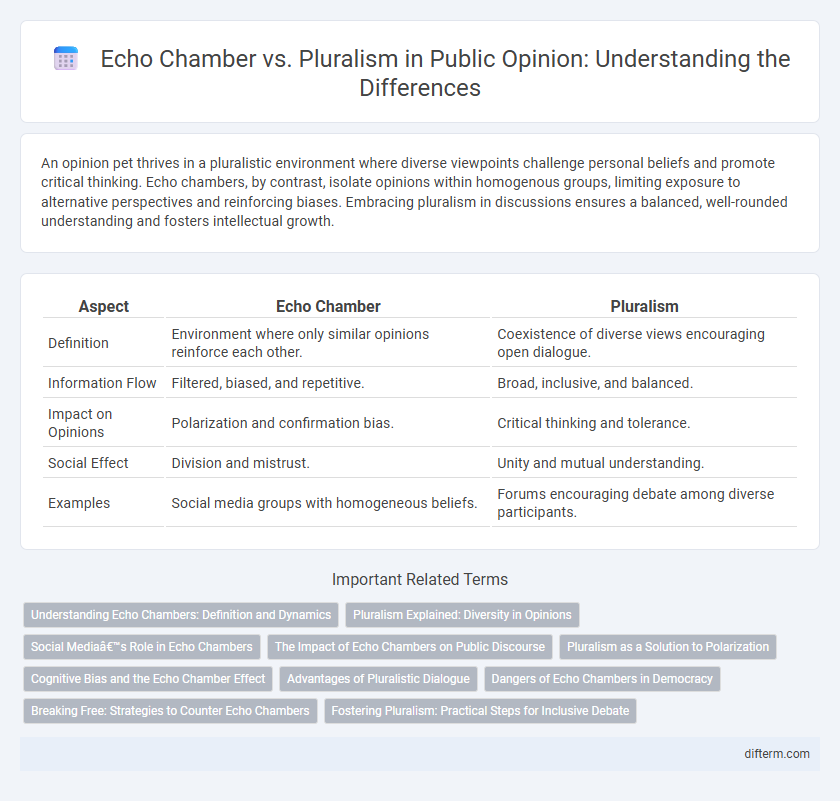 Echo Chamber vs. Pluralism in Public Opinion: Understanding the Differences