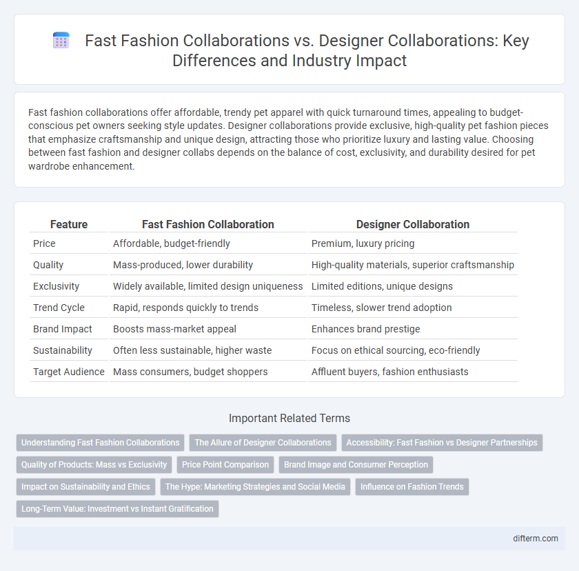 Fast Fashion Collaborations vs. Designer Collaborations: Key Differences and Industry Impact