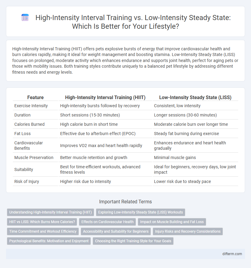 High-Intensity Interval Training vs. Low-Intensity Steady State: Which Is Better for Your Lifestyle?