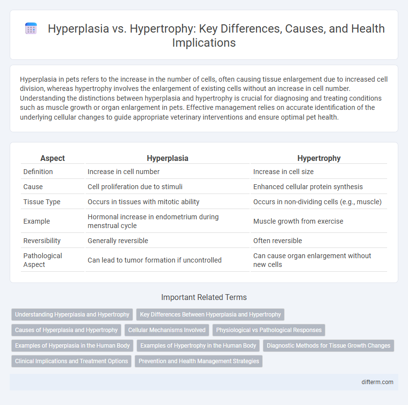 Hyperplasia vs. Hypertrophy: Key Differences, Causes, and Health Implications