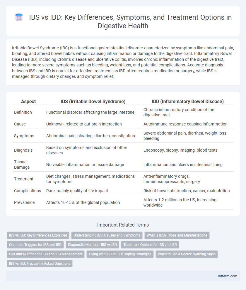IBS vs IBD: Key Differences, Symptoms, and Treatment Options in Digestive Health