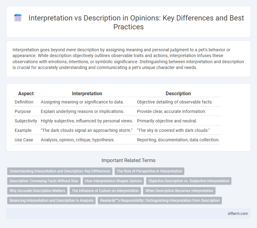 Interpretation vs Description in Opinions: Key Differences and Best Practices