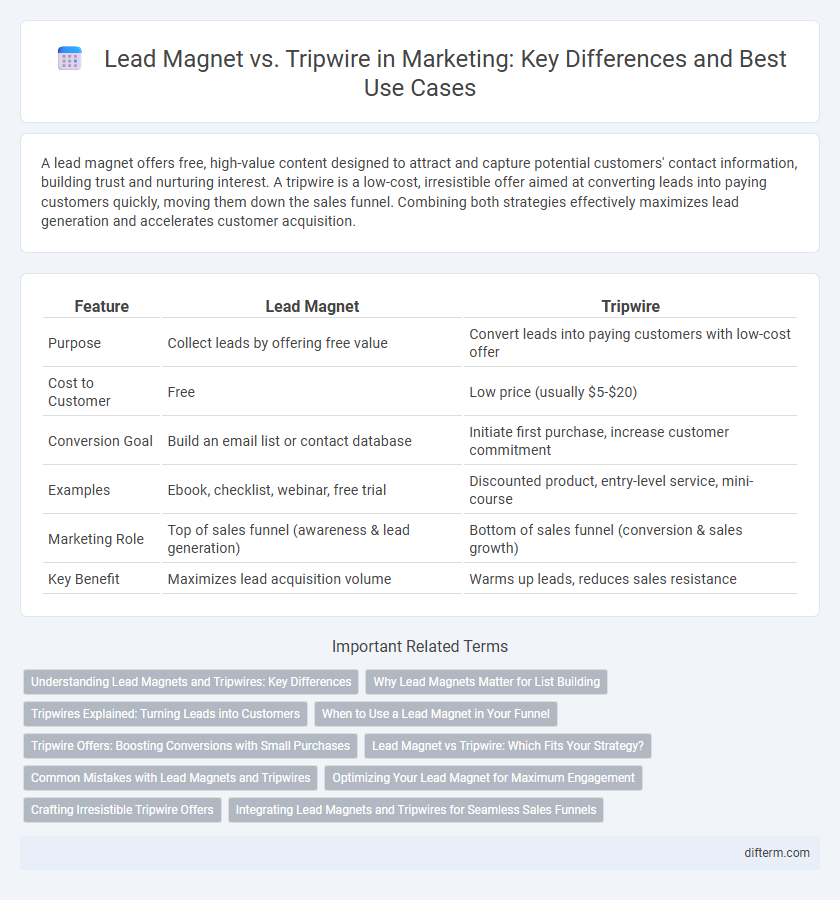 Lead Magnet vs. Tripwire in Marketing: Key Differences and Best Use Cases