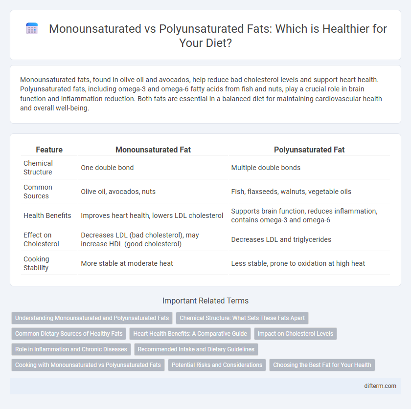 Monounsaturated vs Polyunsaturated Fats: Which is Healthier for Your Diet?