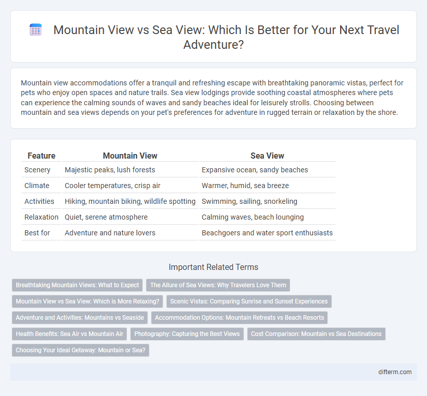Mountain View vs Sea View: Which Is Better for Your Next Travel Adventure?