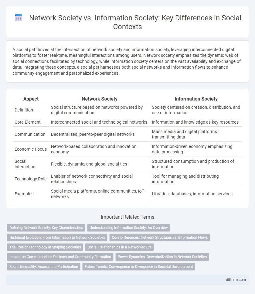 Network Society vs. Information Society: Key Differences in Social Contexts