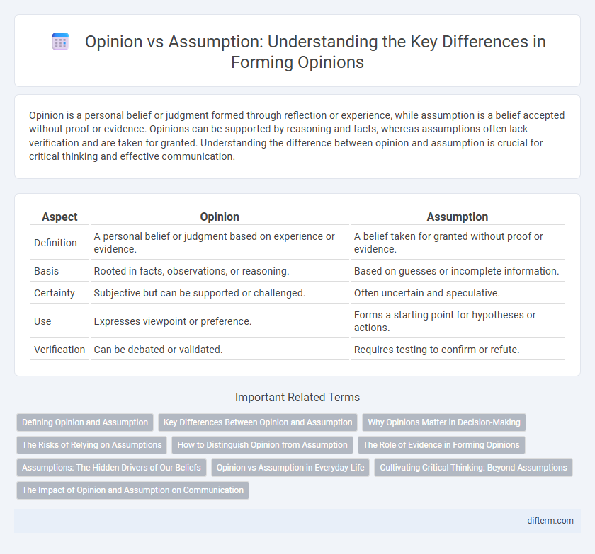 Opinion vs Assumption: Understanding the Key Differences in Forming Opinions