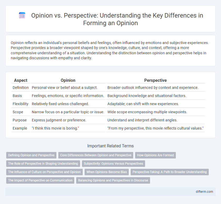 Opinion vs. Perspective: Understanding the Key Differences in Forming an Opinion