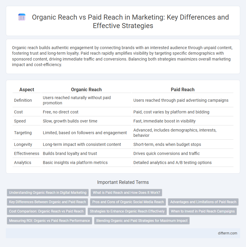 Organic Reach vs Paid Reach in Marketing: Key Differences and Effective Strategies