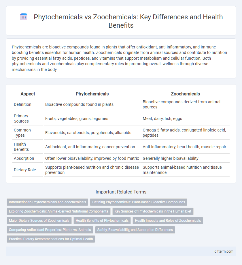 Phytochemicals vs Zoochemicals: Key Differences and Health Benefits
