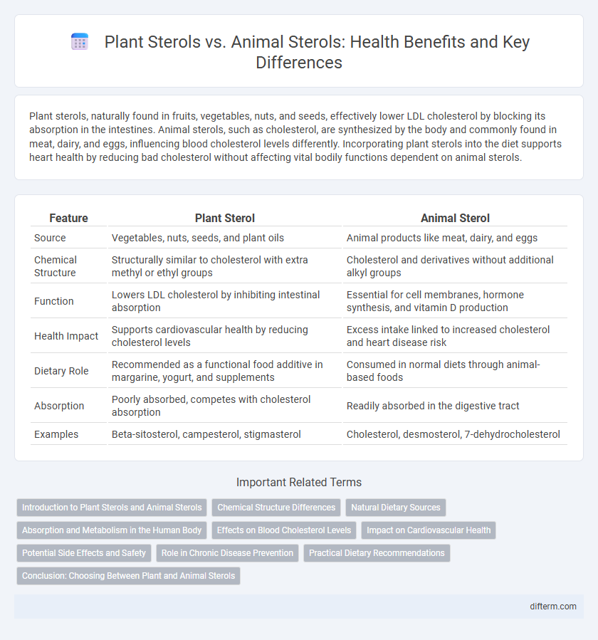 Plant Sterols vs. Animal Sterols: Health Benefits and Key Differences