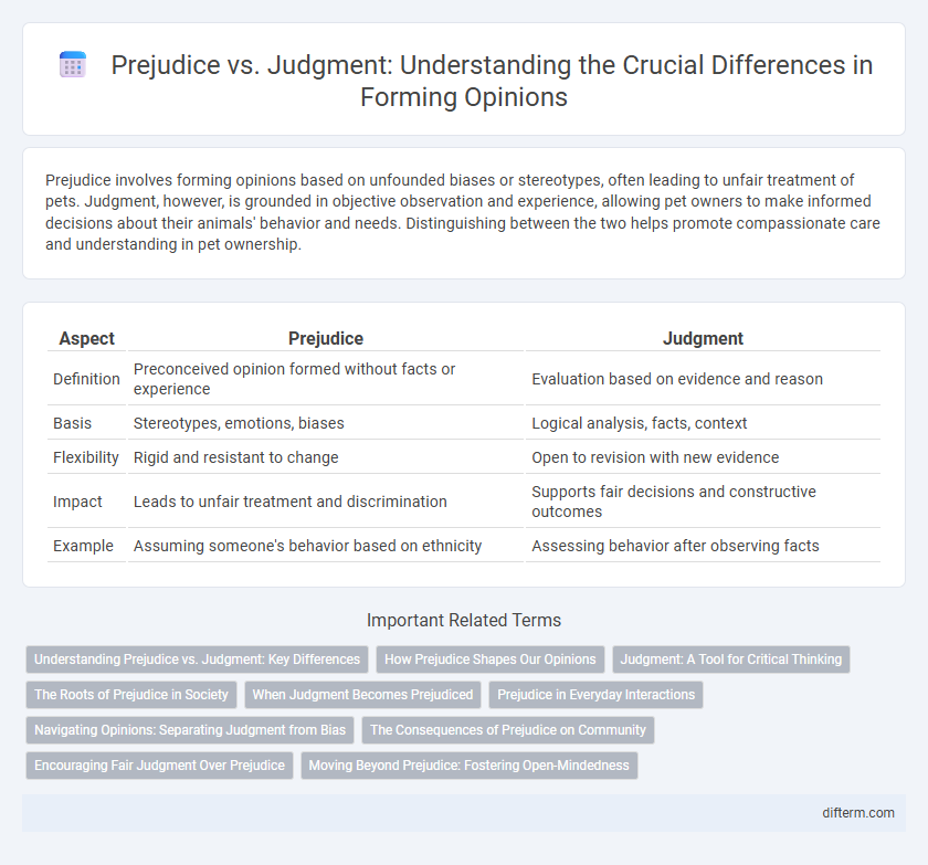 Prejudice vs. Judgment: Understanding the Crucial Differences in Forming Opinions