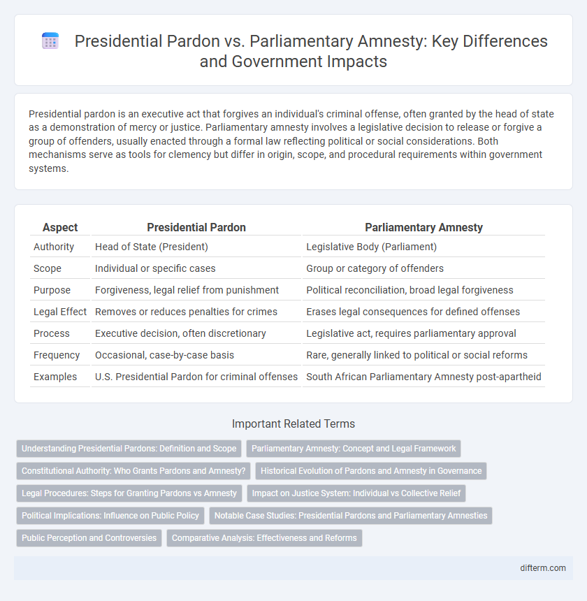 Presidential Pardon vs. Parliamentary Amnesty: Key Differences and Government Impacts