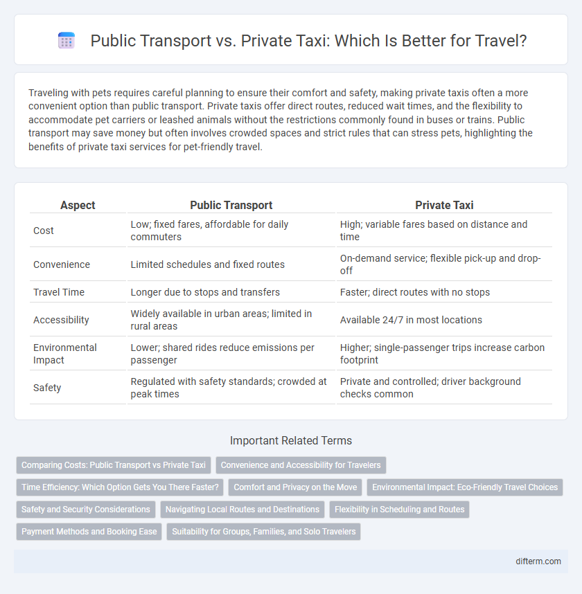 Public Transport vs. Private Taxi: Which Is Better for Travel?