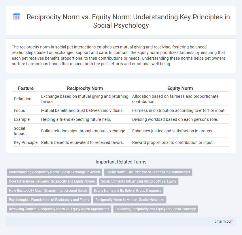 Reciprocity Norm vs. Equity Norm: Understanding Key Principles in Social Psychology