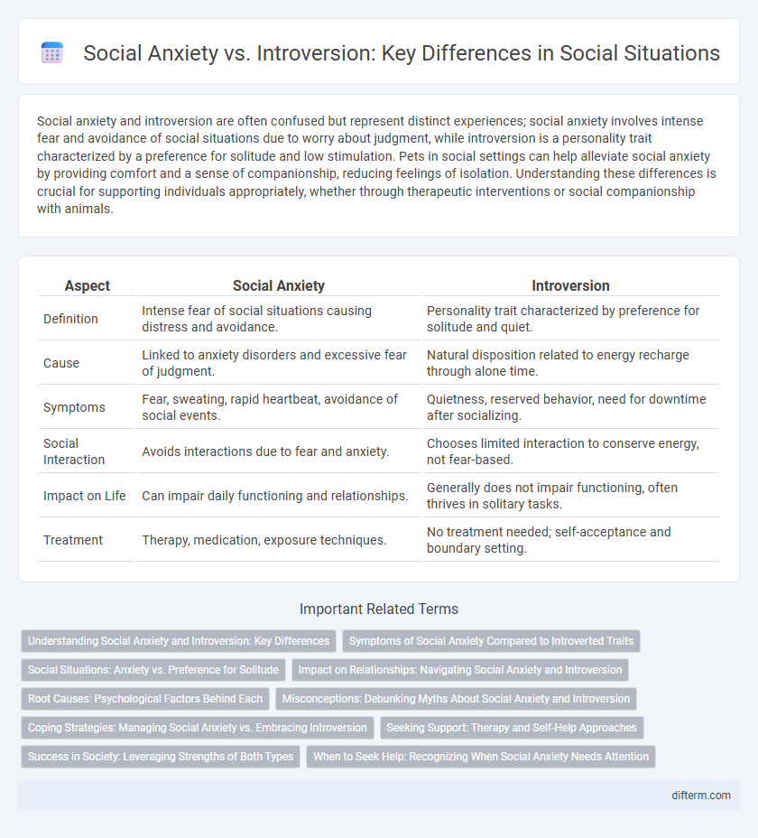 Social Anxiety vs. Introversion: Key Differences in Social Situations