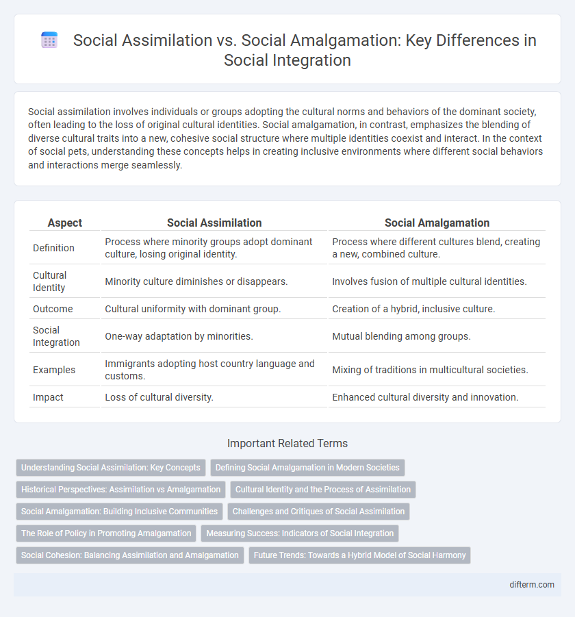 Social Assimilation vs. Social Amalgamation: Key Differences in Social Integration