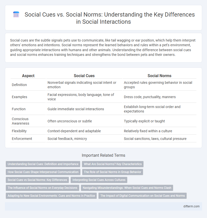 Social Cues vs. Social Norms: Understanding the Key Differences in Social Interactions